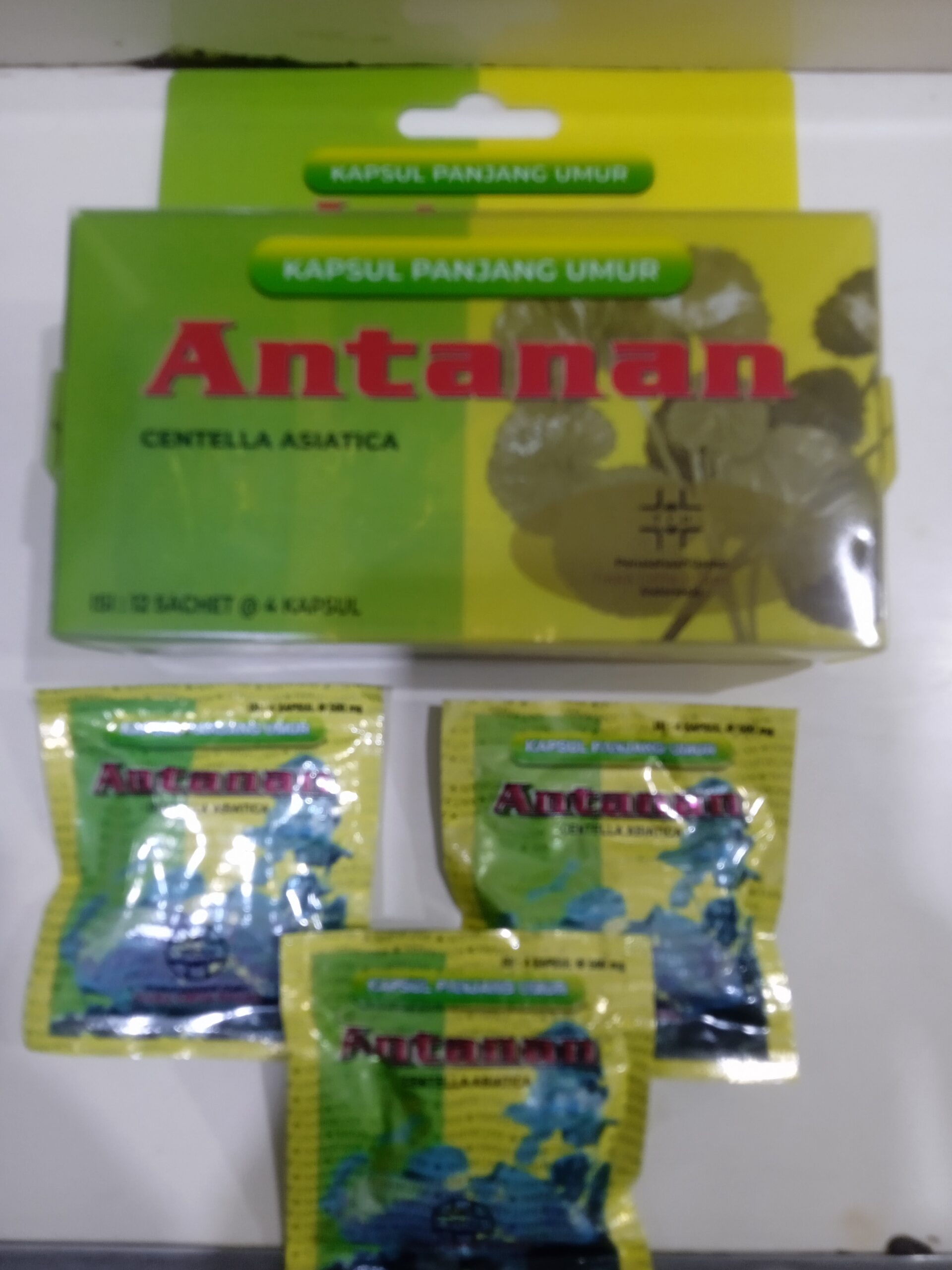 ANTANAN Kapsul Panjang Umur